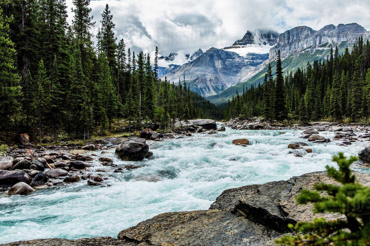 Mountain River Rapids
